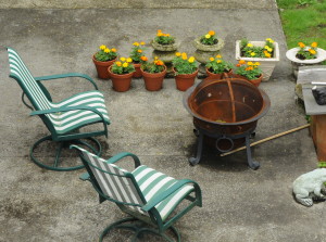 Andrew's Fire Pit and Garden